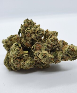 Chocolope Strain CBD Flower