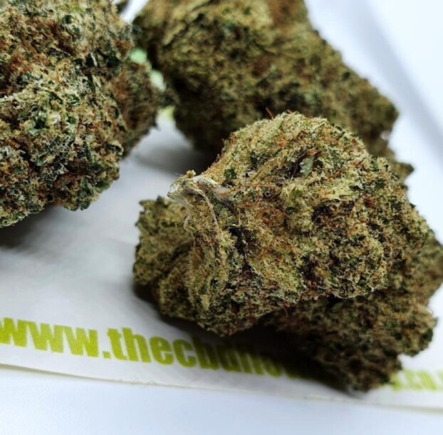 Lemon Punch Strain CBD Flower - Image 4