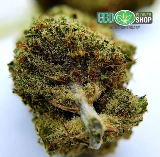 Lemon Punch Strain CBD Flower - Image 6