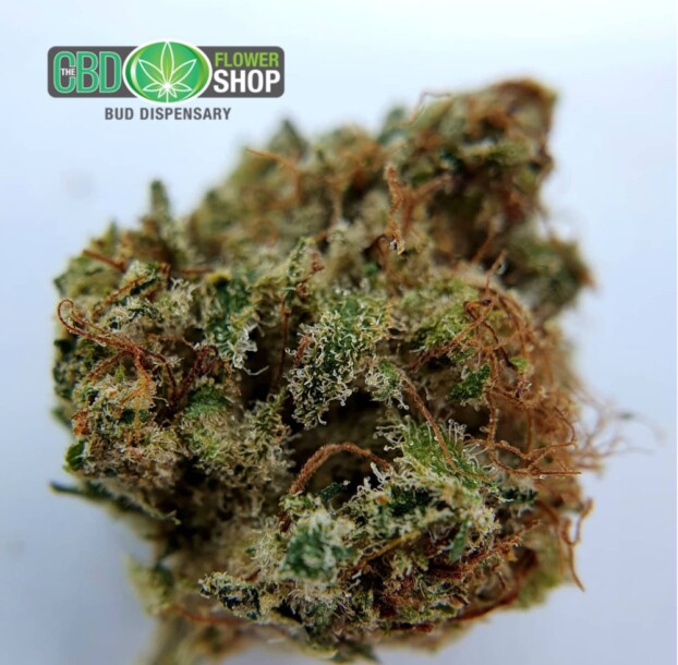 Lemon Punch Strain CBD Flower - Image 7