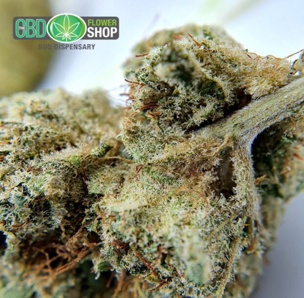 Lemon Punch Strain CBD Flower - Image 11