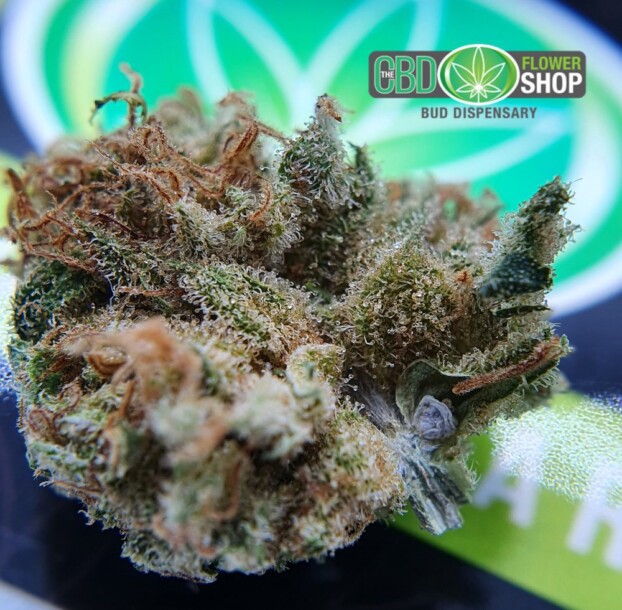 AK 47 - Whole Flower Hemp CBD Tea - Image 6