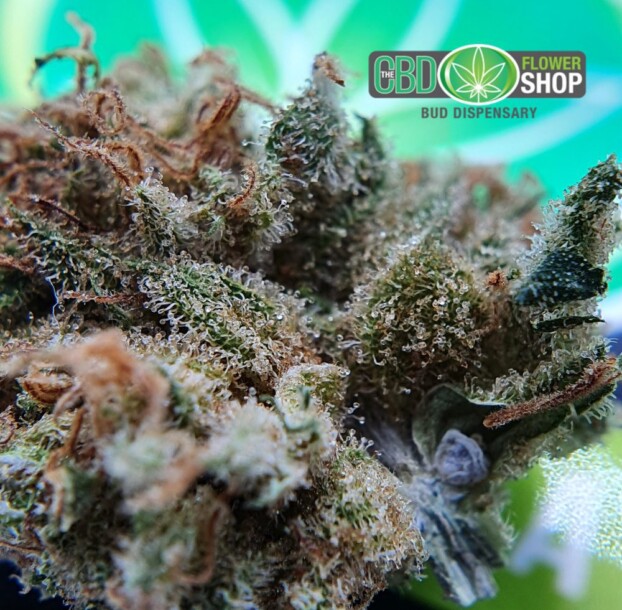 AK 47 - Whole Flower Hemp CBD Tea - Image 7