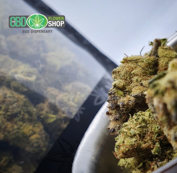 CBD Popcorn Nuggies | Popcorn Flowers - Image 5