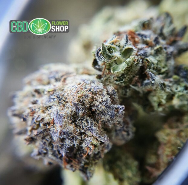 CBD Popcorn Nuggies | Popcorn Flowers - Image 9