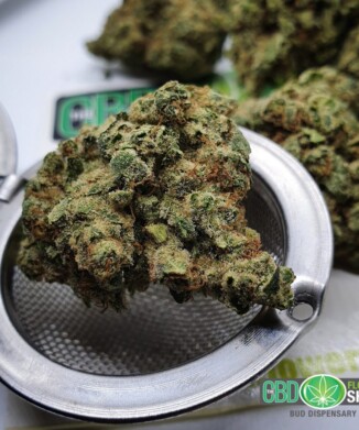 Limited Edition: Bubblegum Haze | CBD Flower