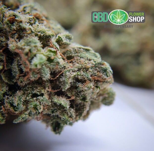Limited Edition: Bubblegum Haze | CBD Flower - Image 6
