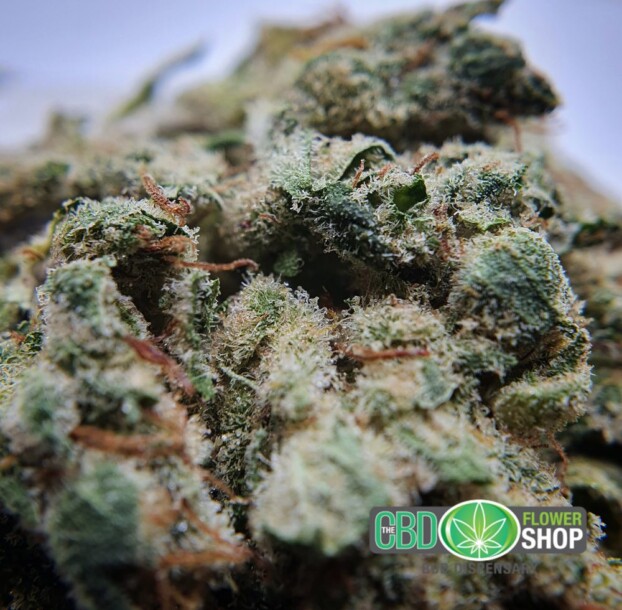 Limited Edition: Bubblegum Haze | CBD Flower - Image 10