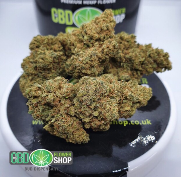 Gelato Hemp Tea Strain | CBD Whole Flower