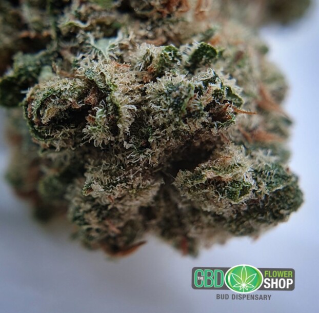 Gelato Hemp Tea Strain | CBD Whole Flower - Image 10