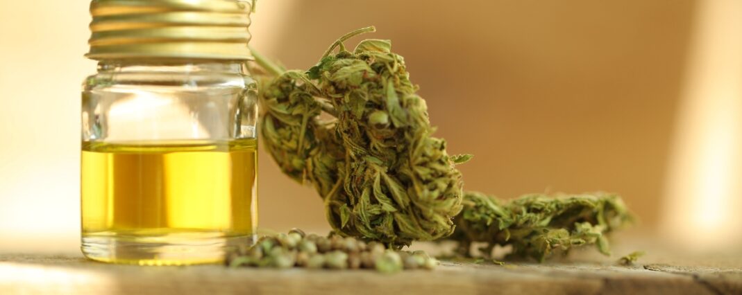 CBD flower and oil