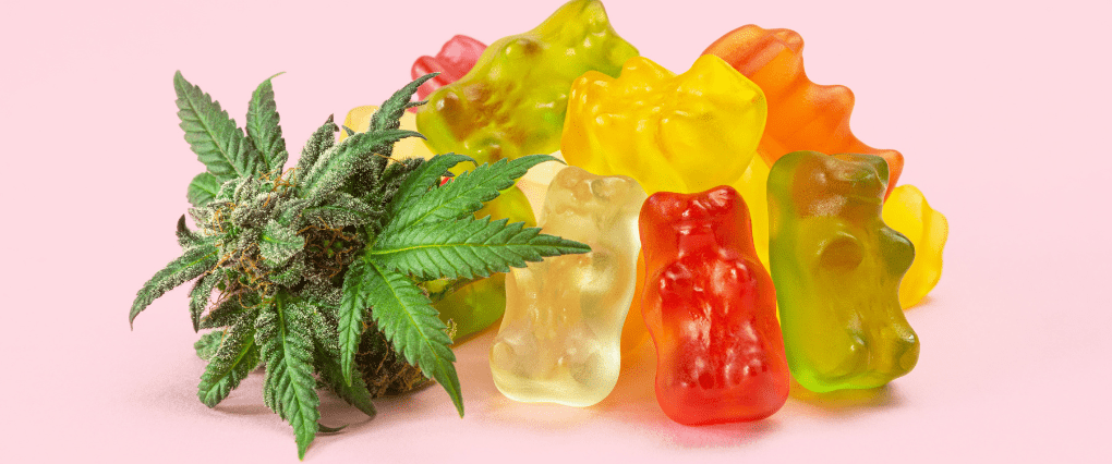 Gummies pink background