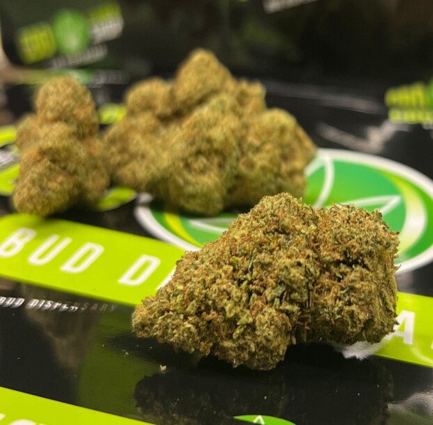 Critical Mass CBD Herbal Tea - Aromatic & Affordable - Image 3