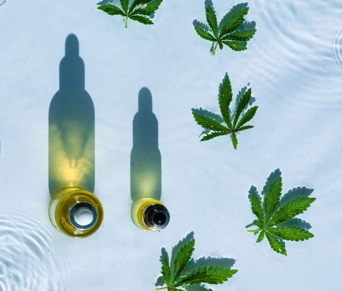hemp leaves in water with bottles of CBD oil