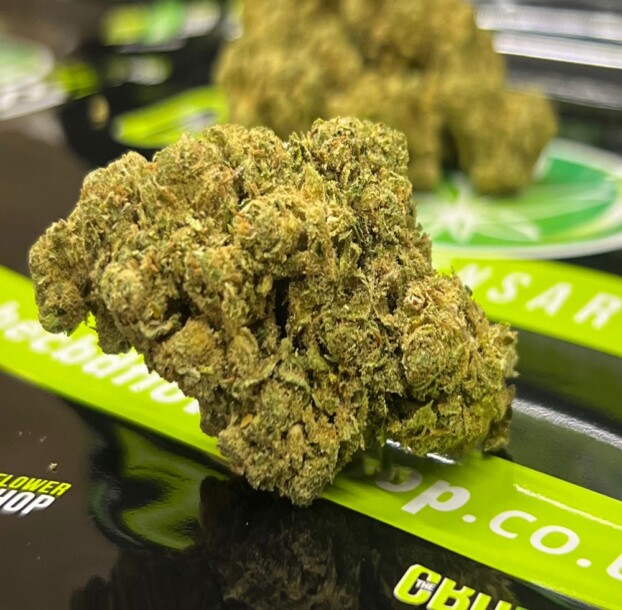 Exclusive Peach Ozz CBD Tea Flower – Limited Edition - Image 3