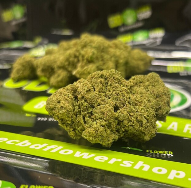 CBD Bud