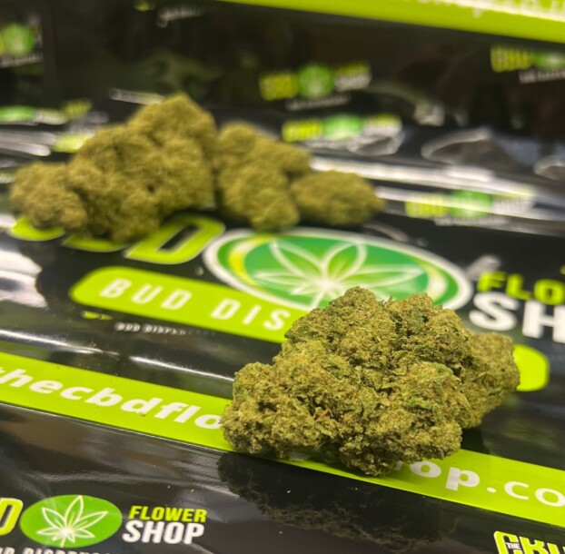 CBD Bud
