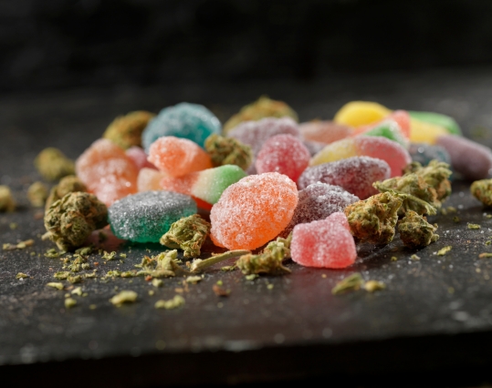 Pile of CBD gummies and hemp buds