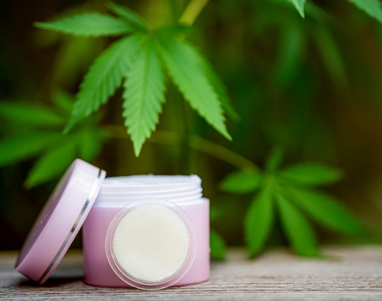 Small tub of CBD cream in front of the plant