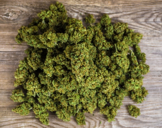 CBD Flowers