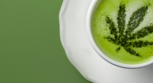 Green Hempl Leaf design over milk in a cup