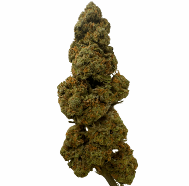 Lemon Berry Strain - CBD Tea Flower - Image 2